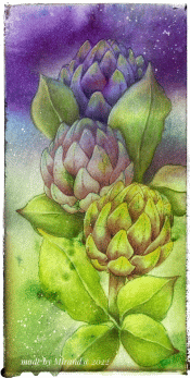 Artichoke van Impression Obsession